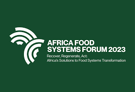 Gender inclusion in agribusiness can help Africa feed the world