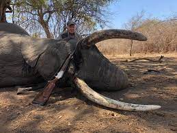 Zimbabwe says elephant trophy hunting is meant to reduce human-wildlife conflicts.